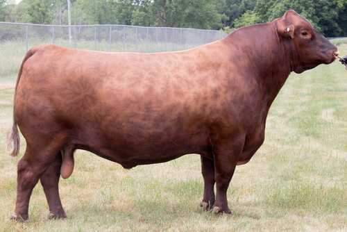 29AR0276